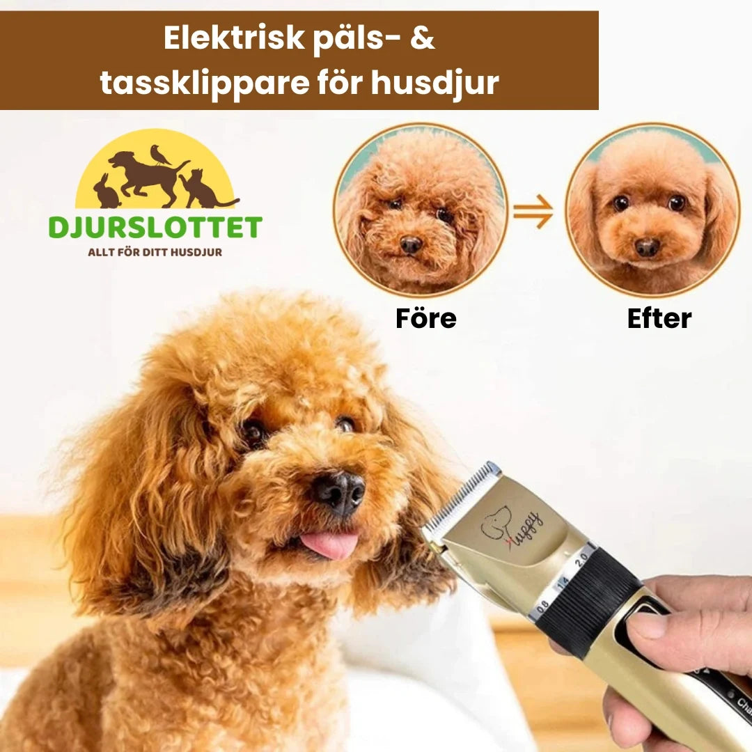 Grooming kit before and after - Petifo