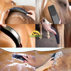 Horse Brush Lathers shampoo effectively and scrapes off water for faster drying. - Petifo