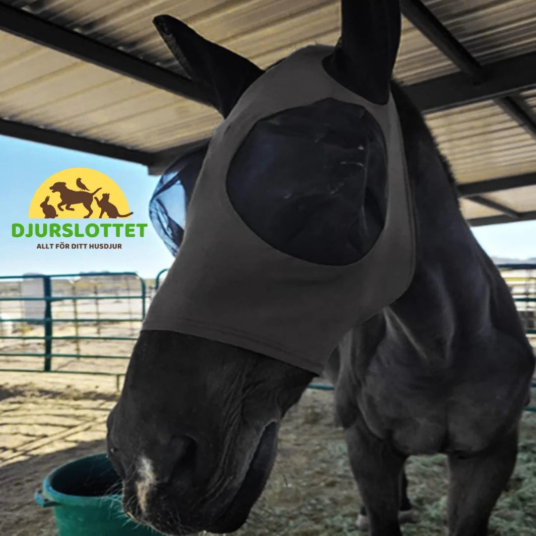 Horse mask with ear protection Insect barrier - Petifo