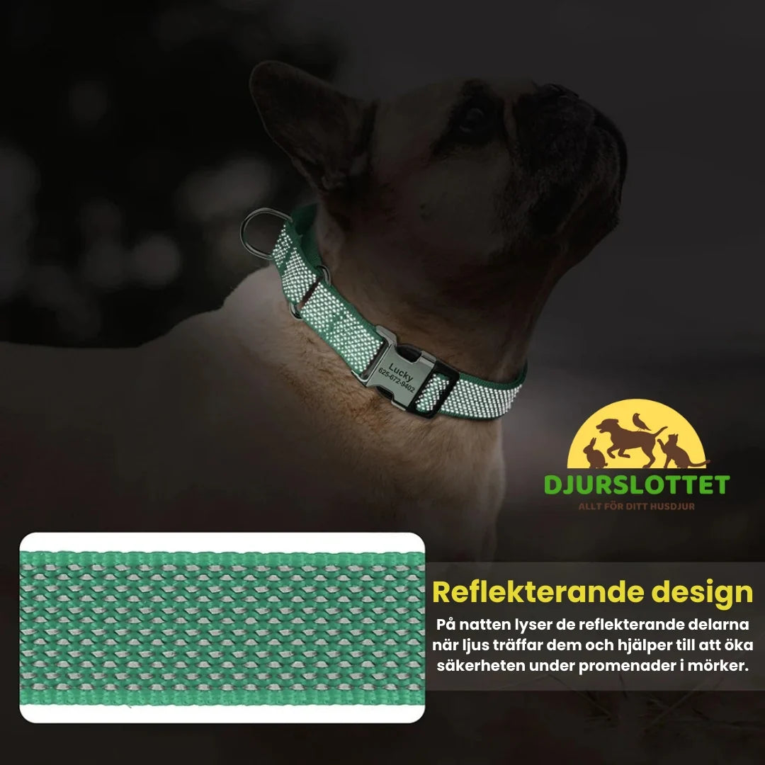Semi-choke Collar with personalised engraving Reflective design - Petifo