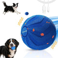 Dog Ball Blue - Petifo