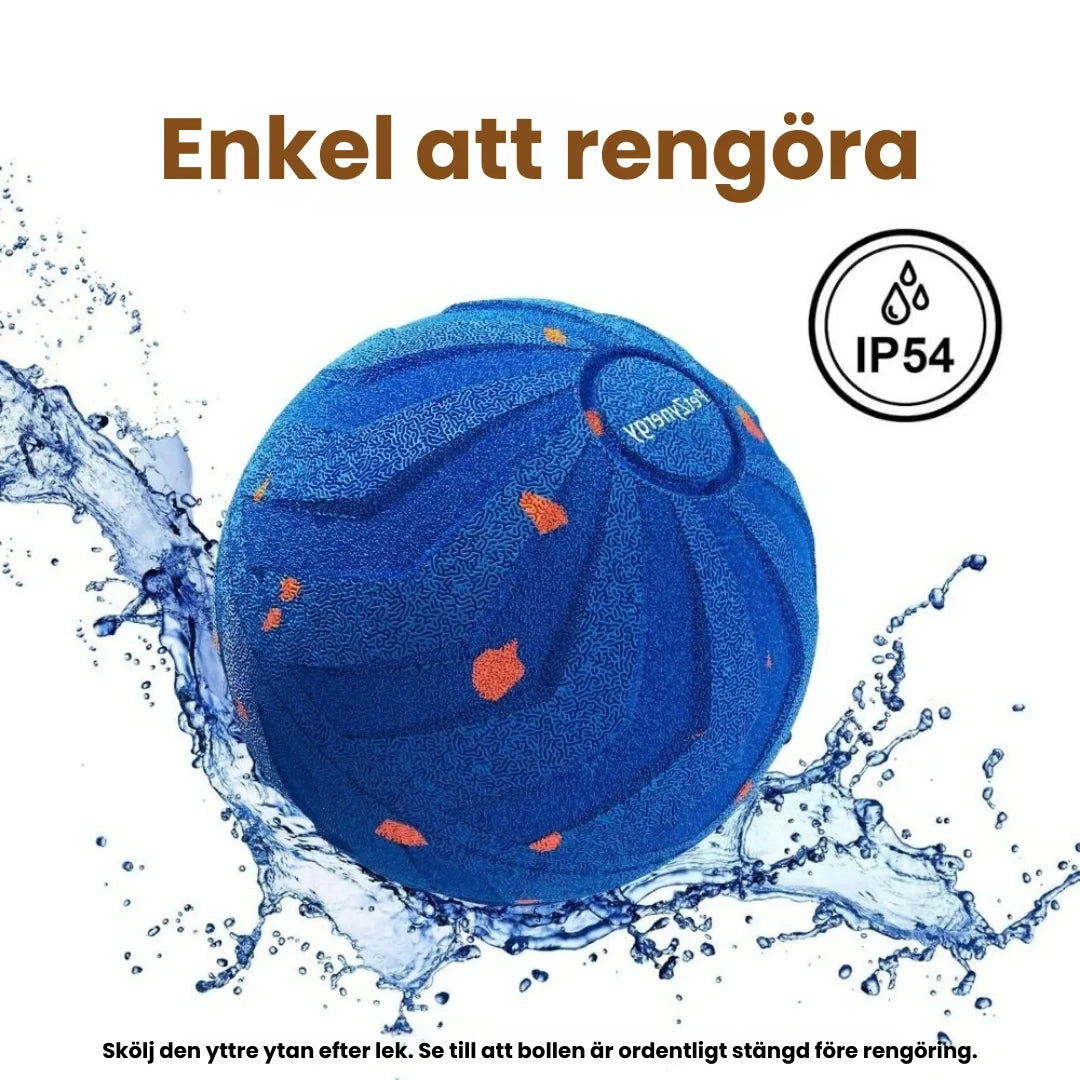 Dog Ball Easy to clean - Petifo