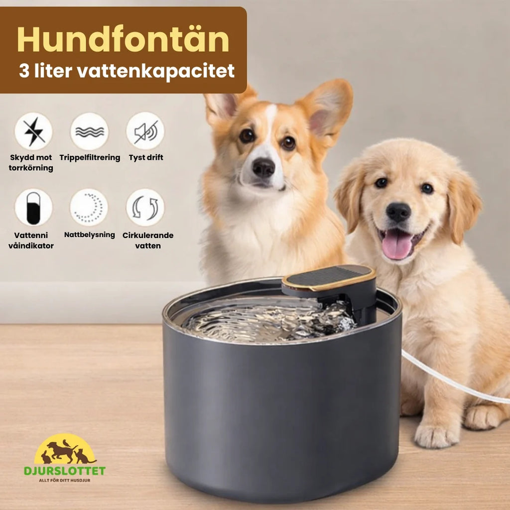 Dog Fountain 3 litre water capacity - Petifo