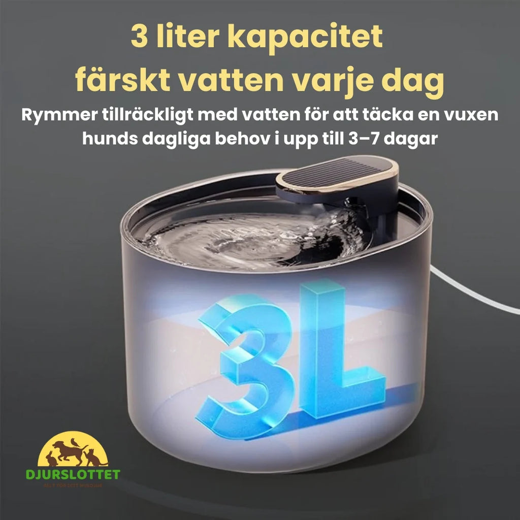 Dog Fountain fresh water every day - Petifo