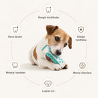 Dog Rubber details - Petifo