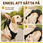 Dog harness with built-in retractable lead - Petifo
