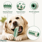infographic highlighting the features of the Petifo dog dental chew toy, including its cleaning channel, textured surface, and toothpaste reservoir.