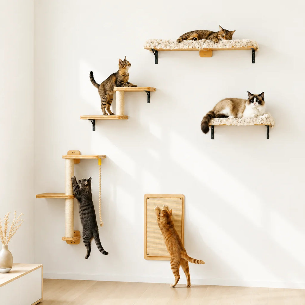 Multiple cats interacting with a Petifo wall-mounted cat climbing set featuring shelves and a scratching mat.
