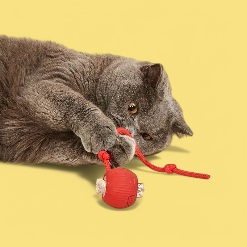 Interactive Cat Toy, 
Felineo Spinball, Felineo Spinball cat toy