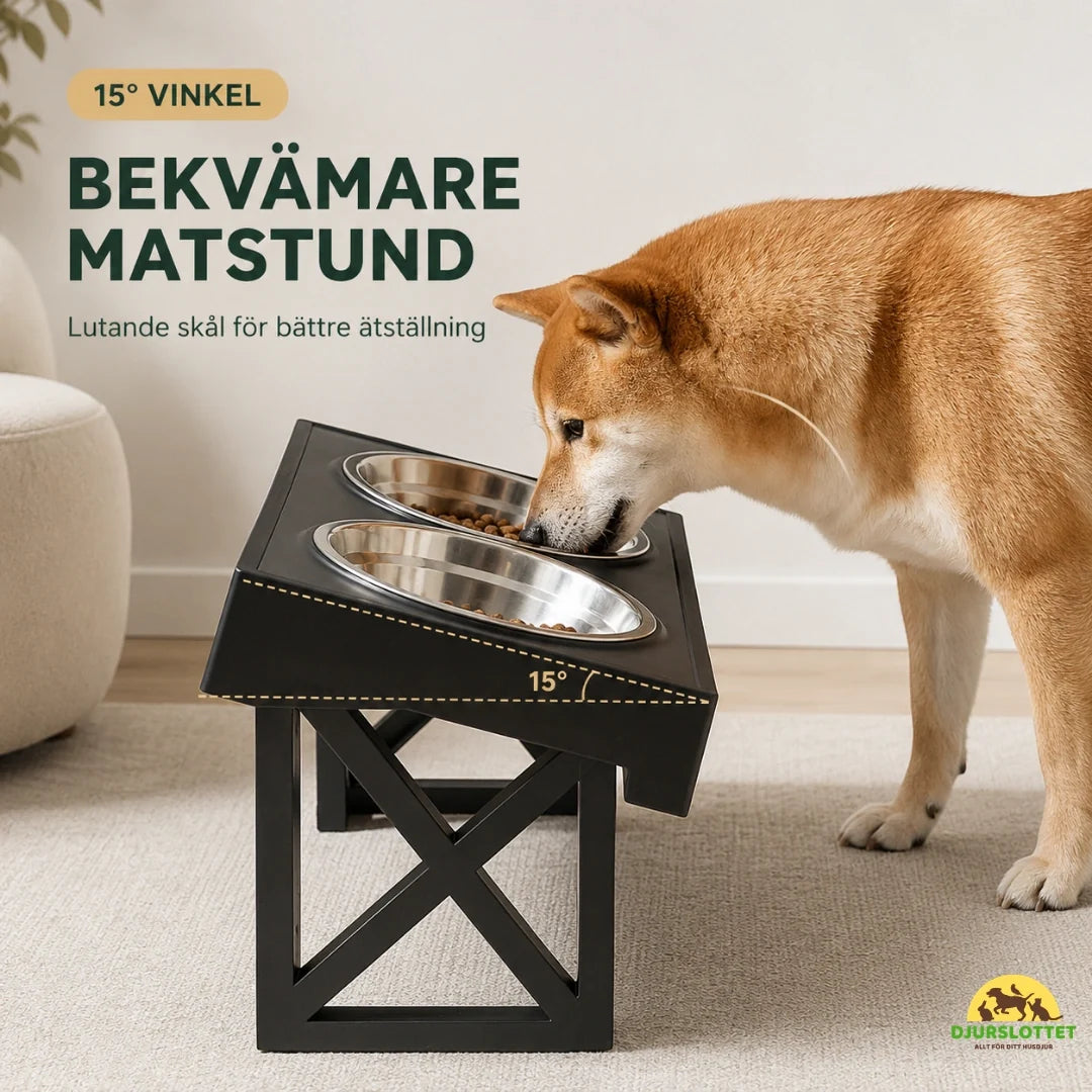 Adjustable Raised Bowl mealtime - Petifo