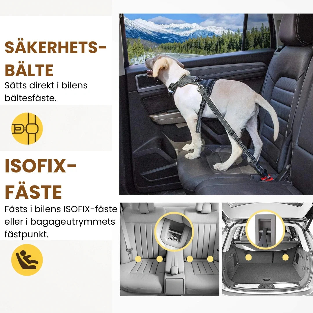 Heavy-Duty Car Seat Belt for Pets - Petifo