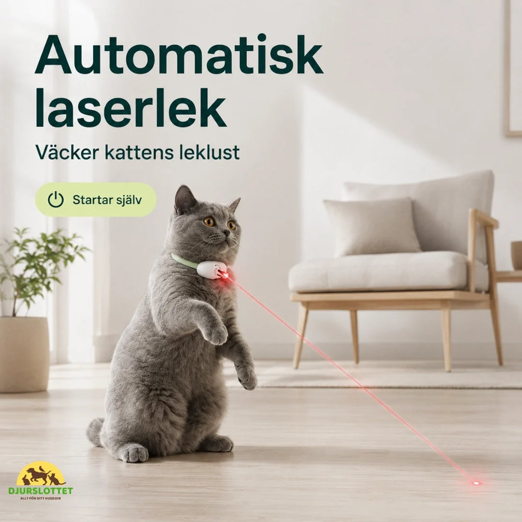 Laser Collar automatic - Petifo
