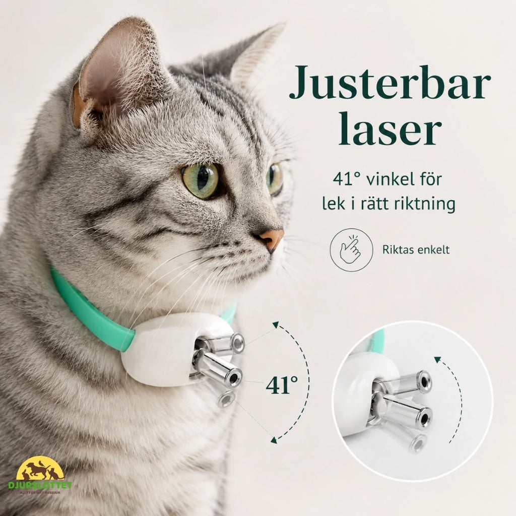 Laser Collar adjustable laser - Petifo