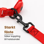 LED Light-Up Lead Strong attachment - Petifo