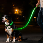 LED Light-Up Lead Three light modes - Petifo