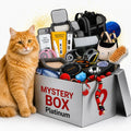Platinum mystery box luxury pet supplies and accessories displayed beside a fluffy ginger cat.