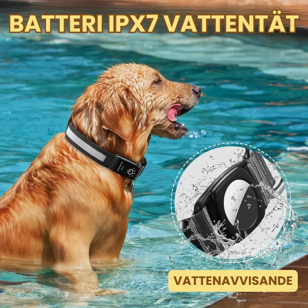 Glowing AirTag collar For dogs Battery IPX7 - Petifo