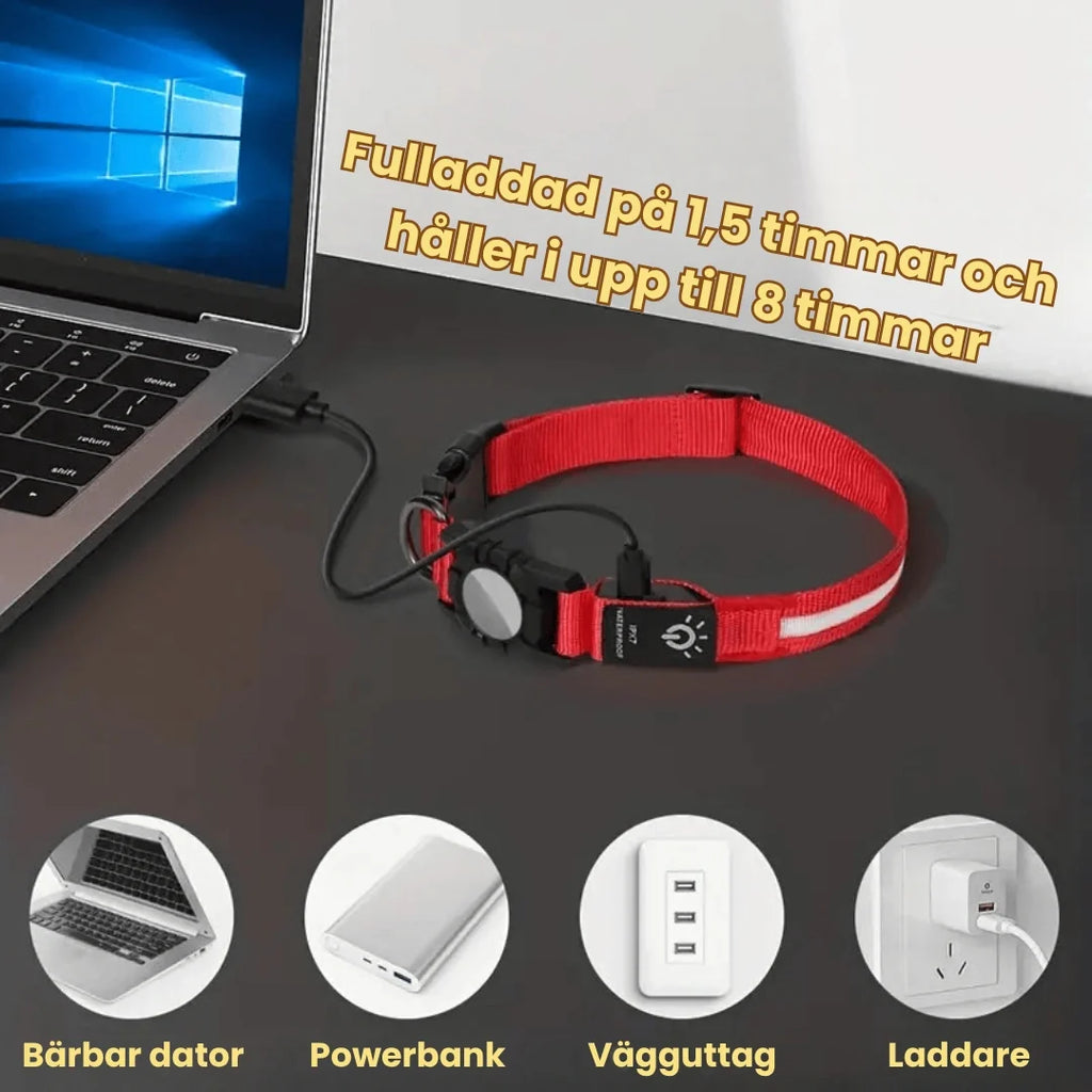 Glowing AirTag collar For dogs Fully charged in 1.5 hours - Petifo