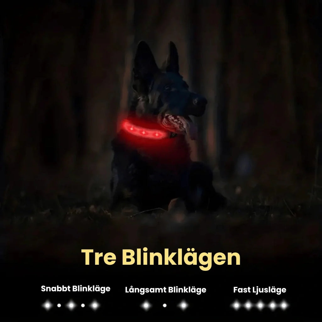Glowing AirTag collar For dogs Three flashing modes - Petifo