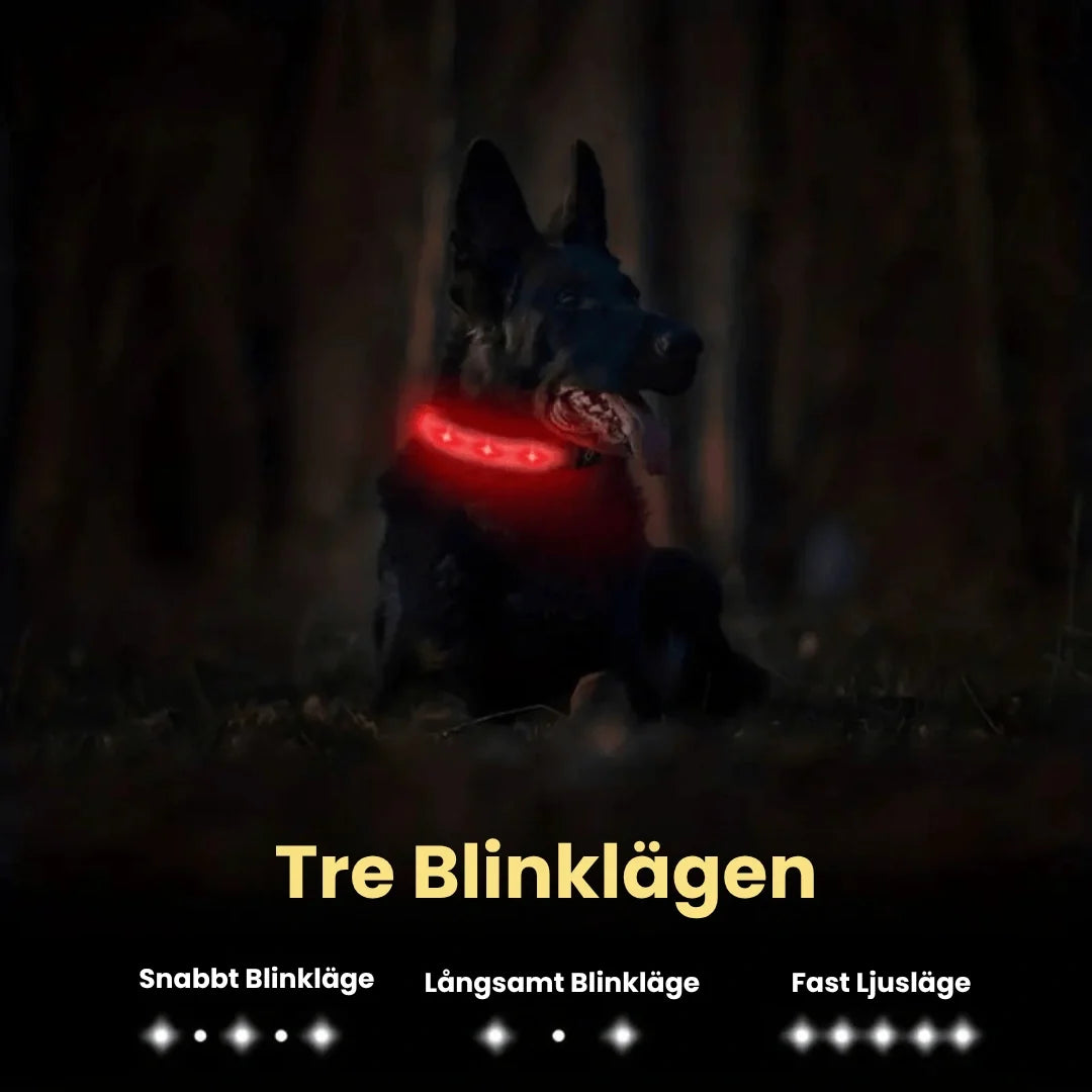 Glowing AirTag collar For dogs Three flashing modes - Petifo