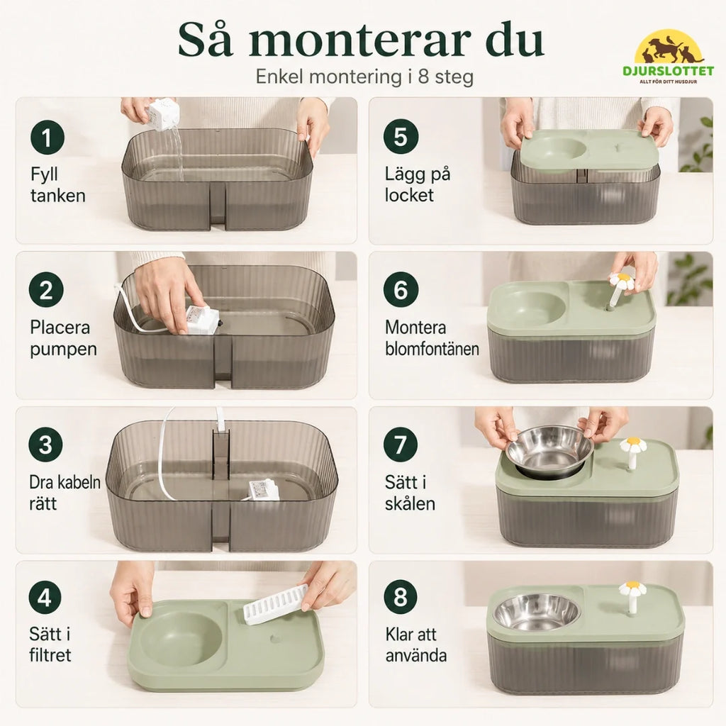 MealStream Water Fountain with Food Bowl assembles - Petifo