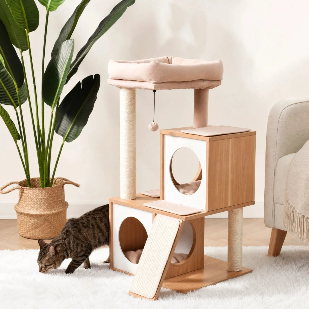 A tabby cat exploring a modern, minimalist wood-finish cat tree with white platforms, hideaway cubes, and a plush top bed.