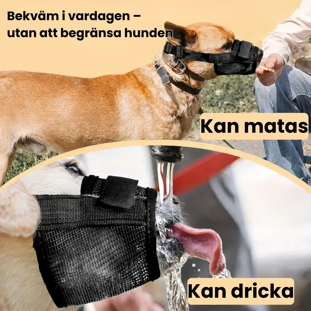 Dog Muzzle Comfortable every day - without restricting the dog -Petifo