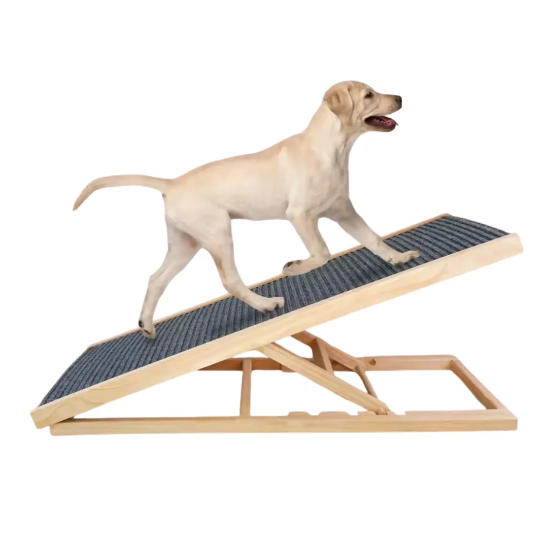 A light-colored dog walking up an adjustable wooden pet ramp that features a textured, non-slip gray surface.