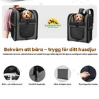 PetPacker Backpack Comfortable to carry – safe for your pet Petifo