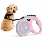 A cute curly-haired puppy sitting next to a pink and gray retractable dog leash.