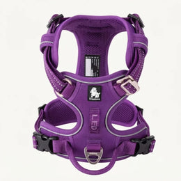 Morado