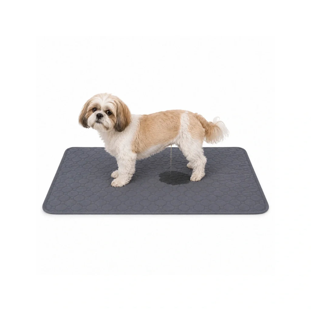 PupClean Washable Puppy Pad size m - Petifo