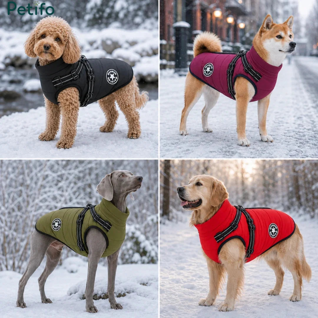 Various dog breeds wearing winter coats in black, wine red, olive green, and red colors outdoors in the snow.