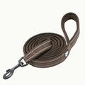 A brown TrueLove Reflexfit reflective dog leash with a padded handle and durable metal clip.