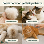 Problem-solving infographic detailing how the Petifo grooming glove removes loose hair, prevents matting, reduces hairballs, and simplifies grooming.