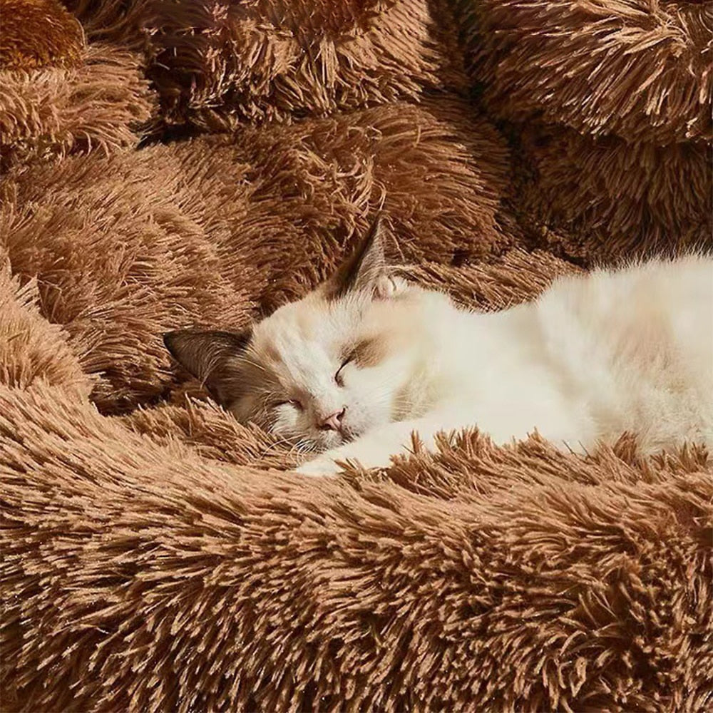 Fluff Paradise Pet Bed - Petifo