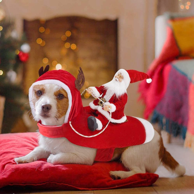Father Christmas Costume for Dogs and Cats - Petifo