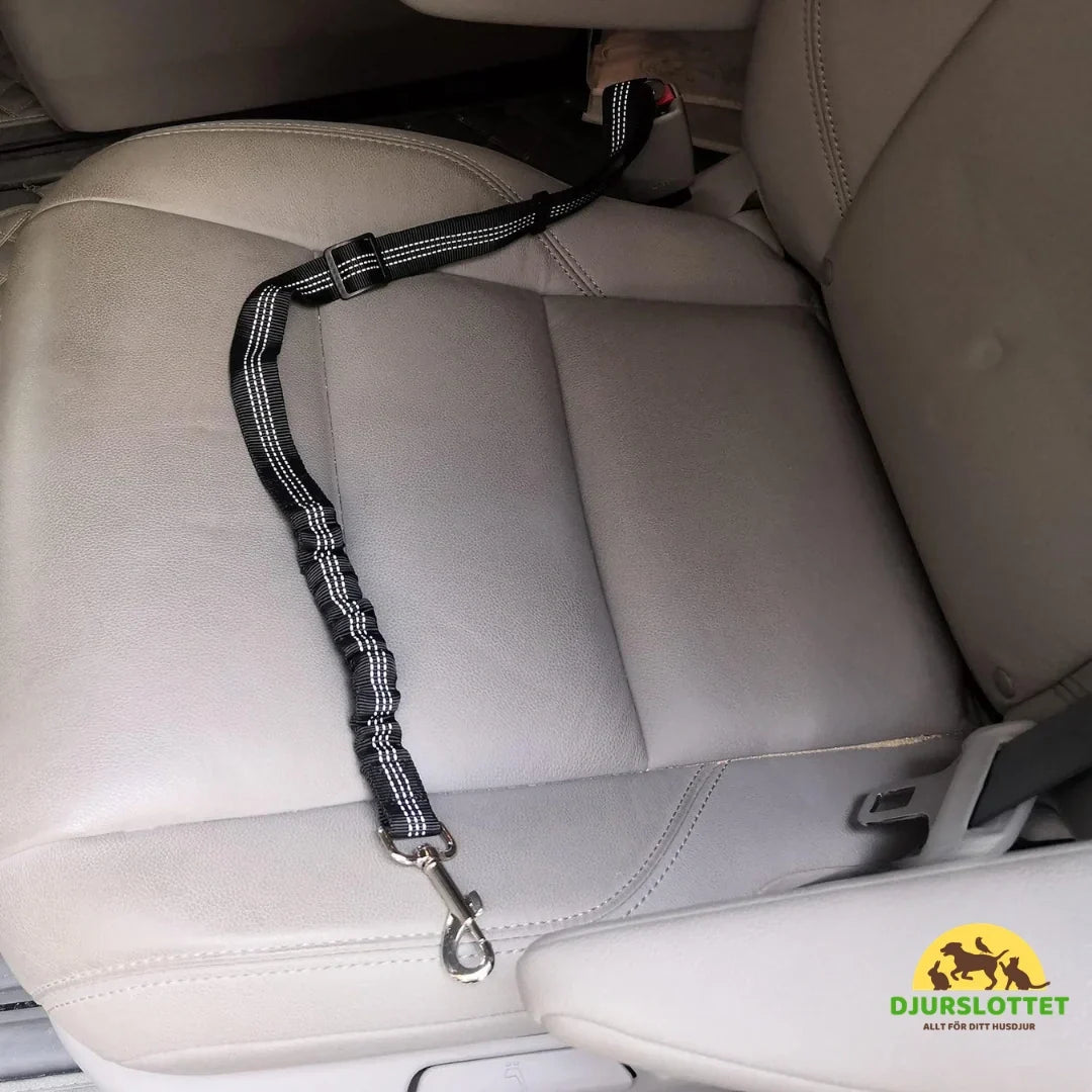 Safety Belt for Pets Safe and Stable-Petifo