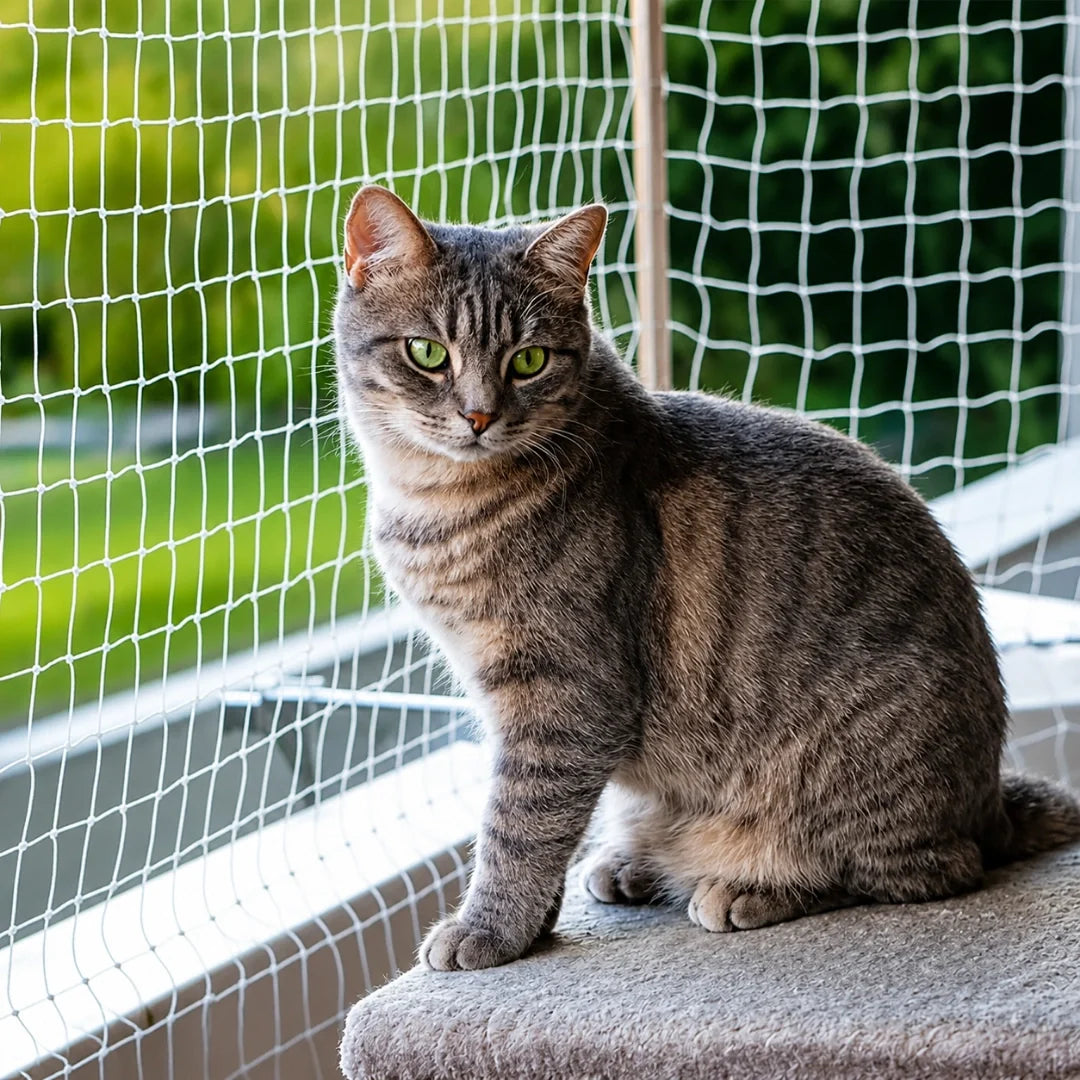 SafeGuard transparent cat net that protects your cat - Petifo