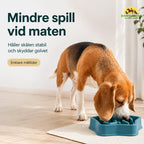 Slowfeeder Pro less spillage at mealtime - Petifo