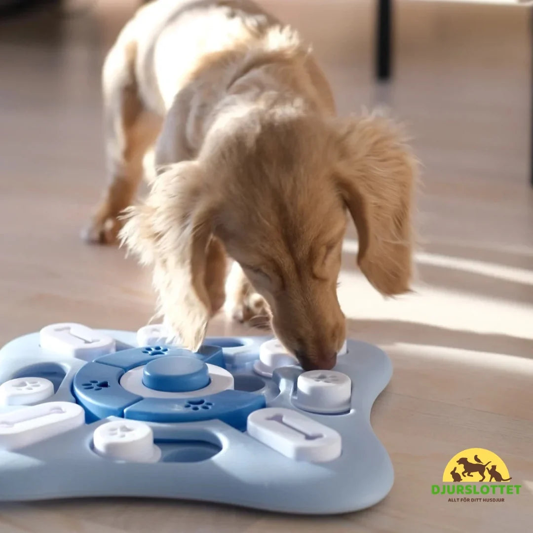 SmartPaw Slower mealtime - Petifo