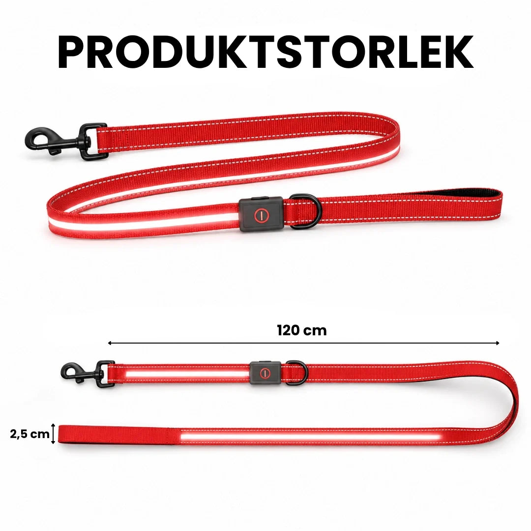 Size of LED Light-Up Lead - Petifo