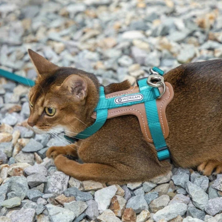 HiDream Leather Series cat harness - Petifo