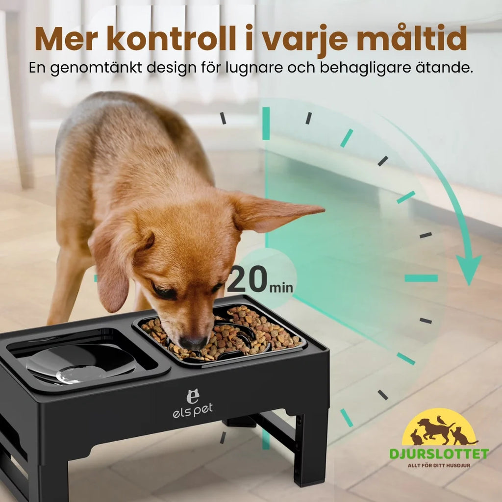 UpFeed Pro Raised Slow Feeder & Anti-Spill Food Bowl More control at every meal - Petifo