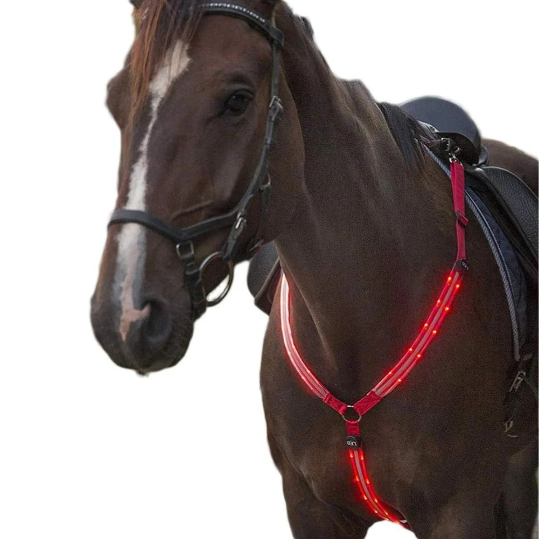 Rechargeable LED breastplate for horses Red - Petifo