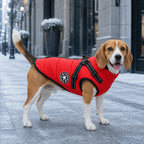 Winter coat for dogs - Petifo