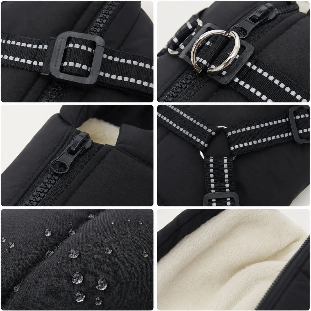 Winter coat for dogs Maximum warmth - Petifo