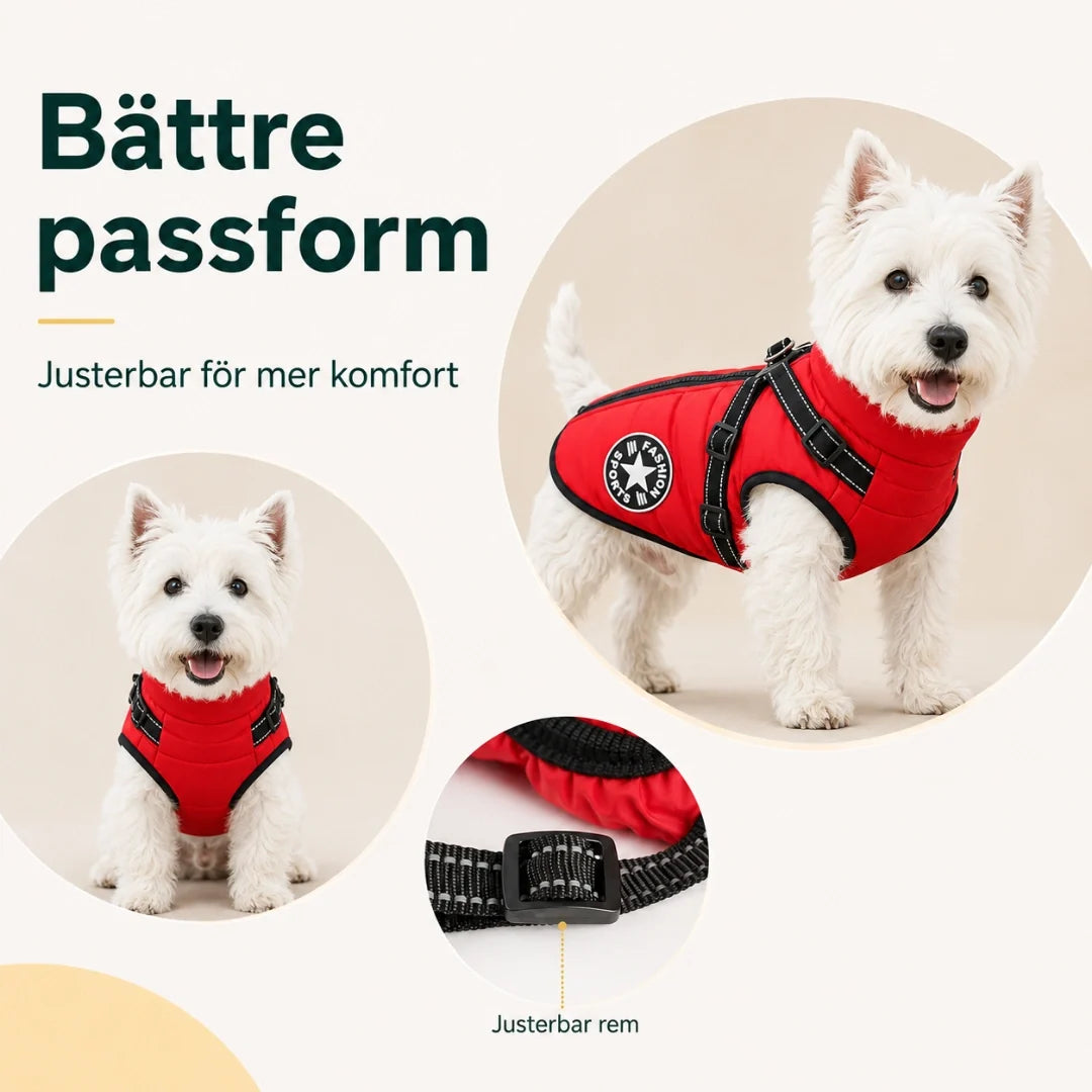 Winter coat for dogs better fit - Petifo