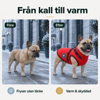 Winter coat for dogs vs after - Petifo