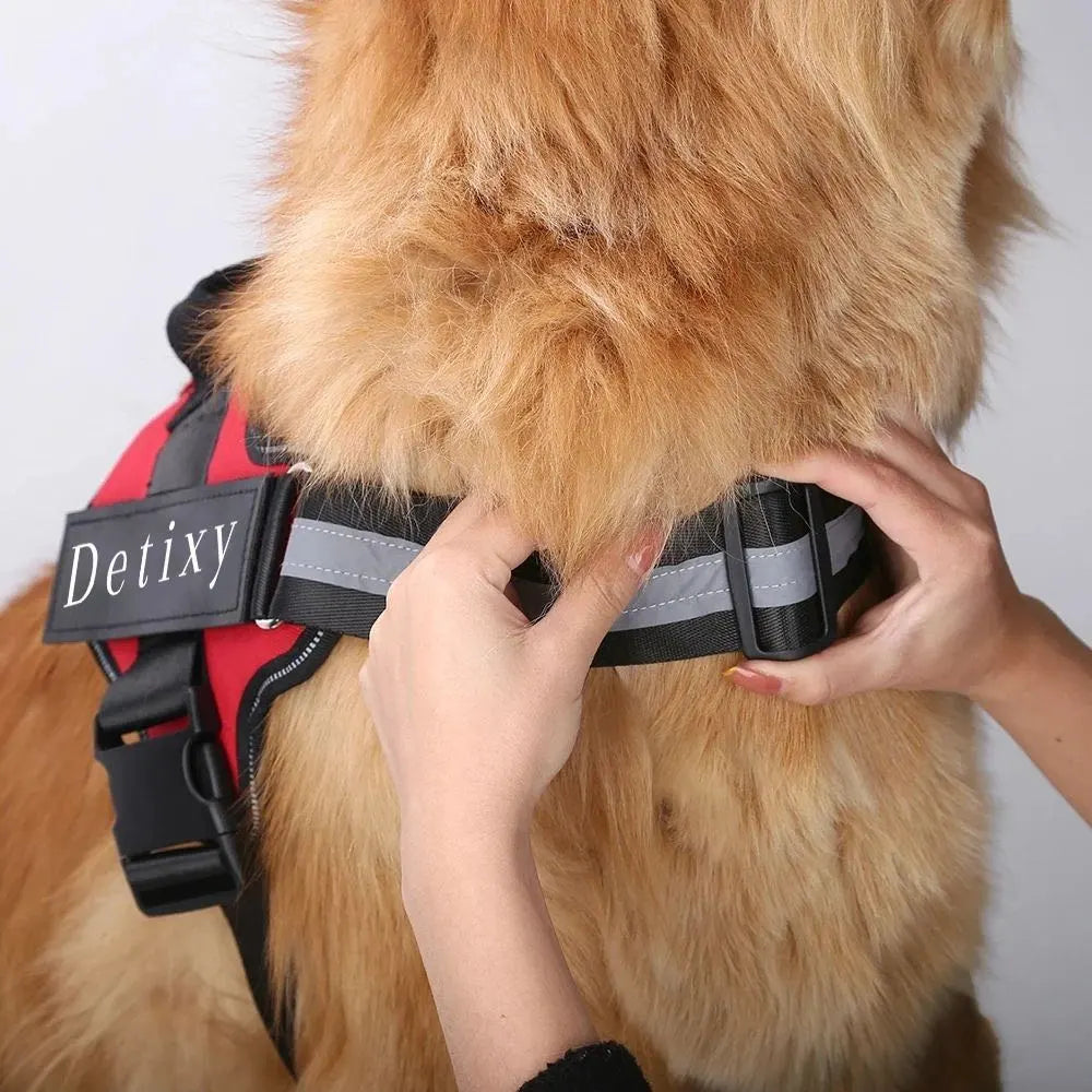 Detixy Dog Harness - Petifo